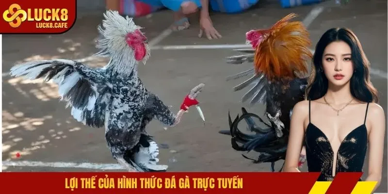 Lợi thế của hình thức đá gà trực tuyến