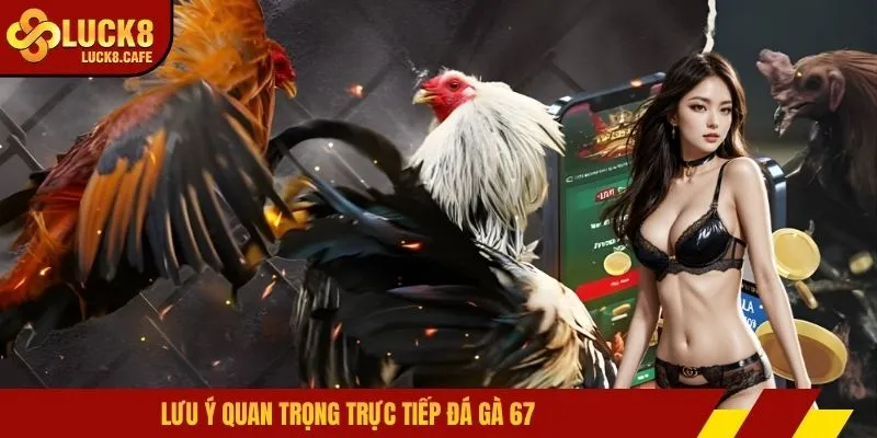 Lưu ý quan trọng trực tiếp đá gà 67