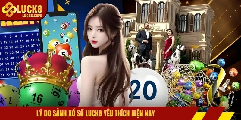 Lý do sảnh xổ số LUCK8 yêu thích hiện nay